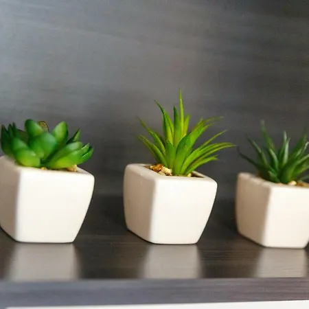 Irene Apartmán Poreč