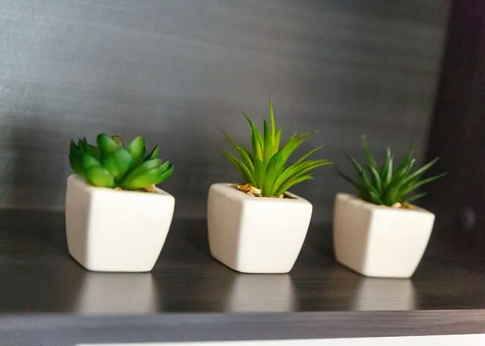 Irene 아파트 포레치